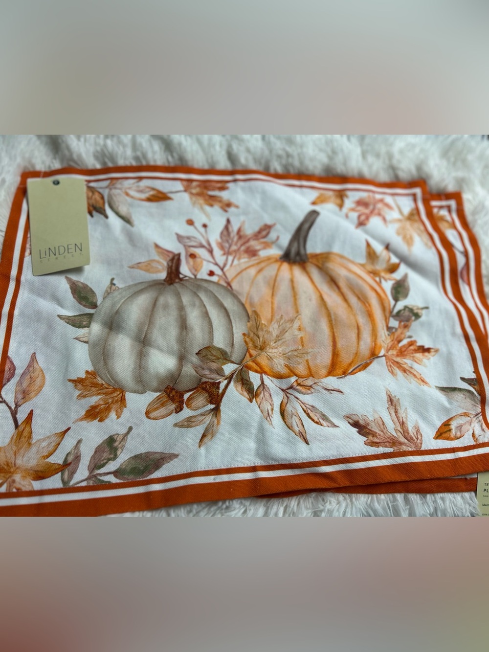 Linden Street Autumn Pumpkin Placemat - Orange & Cream set of 2 NWT cotton